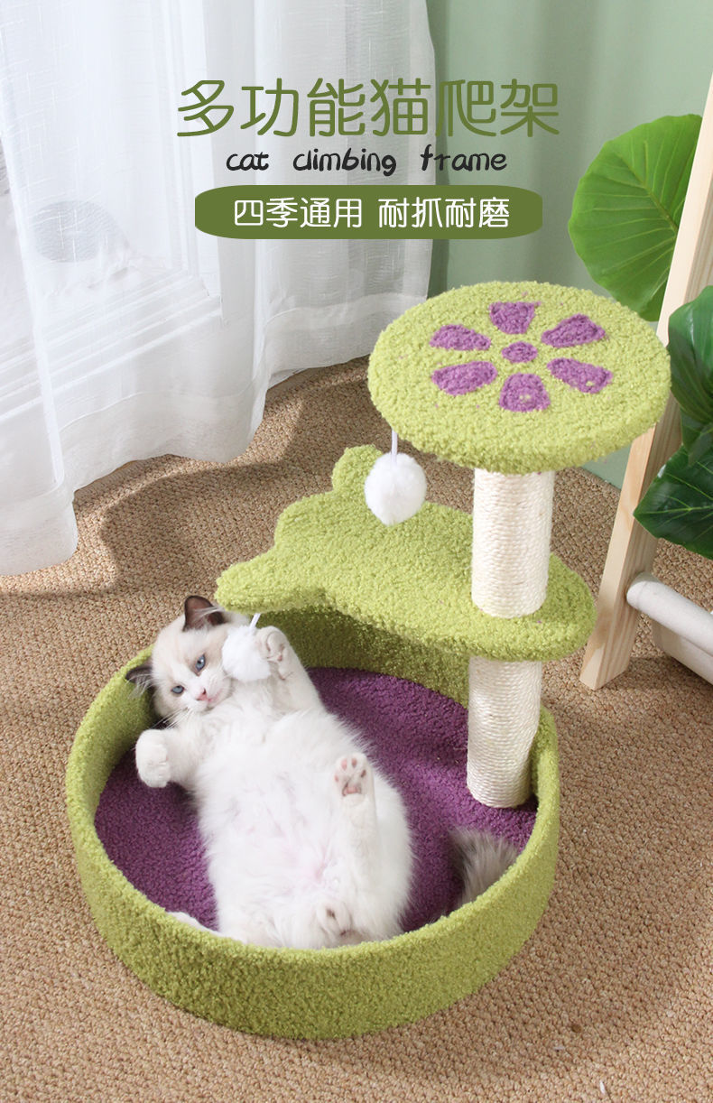 f3898203-6e03-42b3-a090-97da5a82a230.jpe