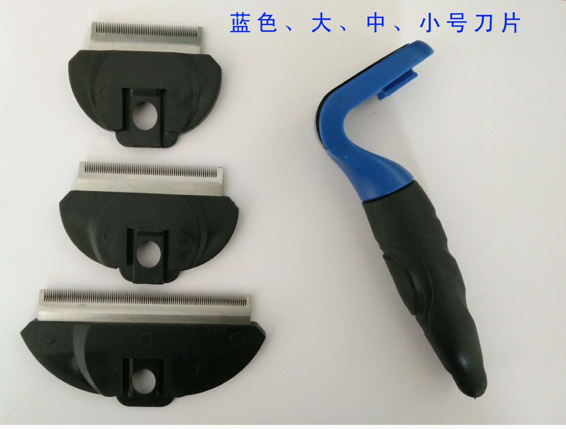 蓝色所有
