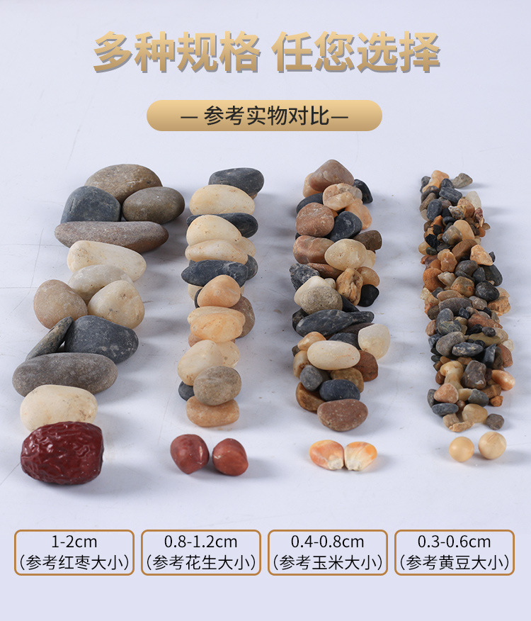 图片_06