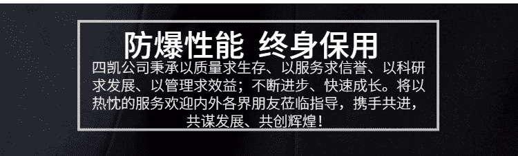 详情模板2021-3