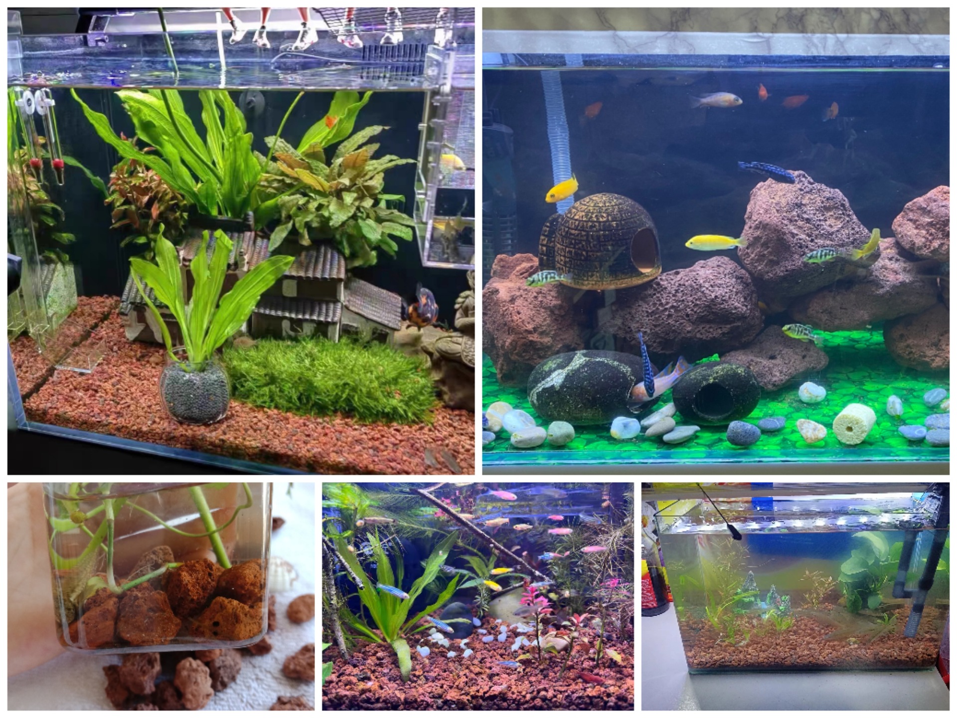Collage_20221223_133215.jpg