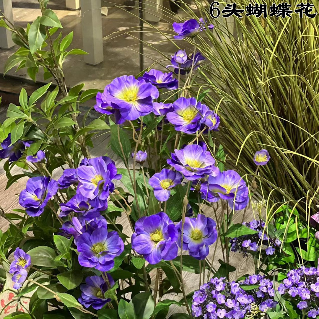 微信图片_20230319143335_副本_副本