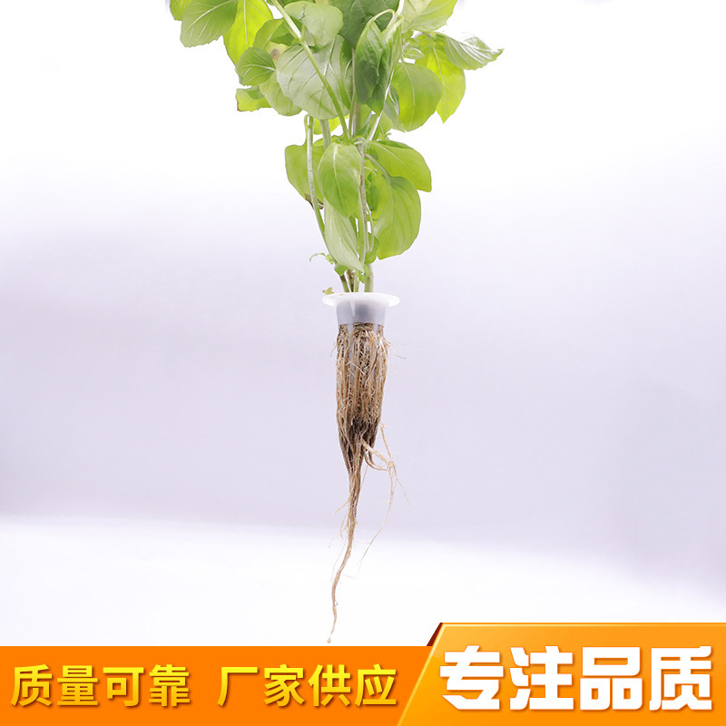 80a02647ee88fe8ee8be4619fbba43