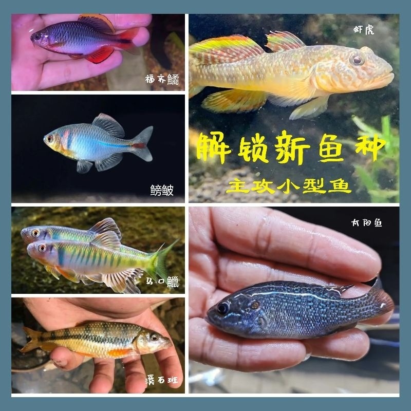 292ce527-404c-4e38-8c7e-47b5a785391a.jpe