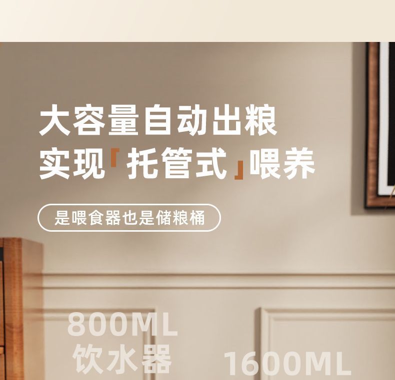 b76703c5-3c63-430c-a675-b401ea9305a7.jpe