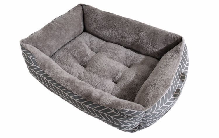 e2f51937-9a92-48cb-ab36-1c7f8dc74a15.jpe