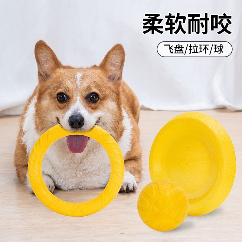 微信图片_20250402182157