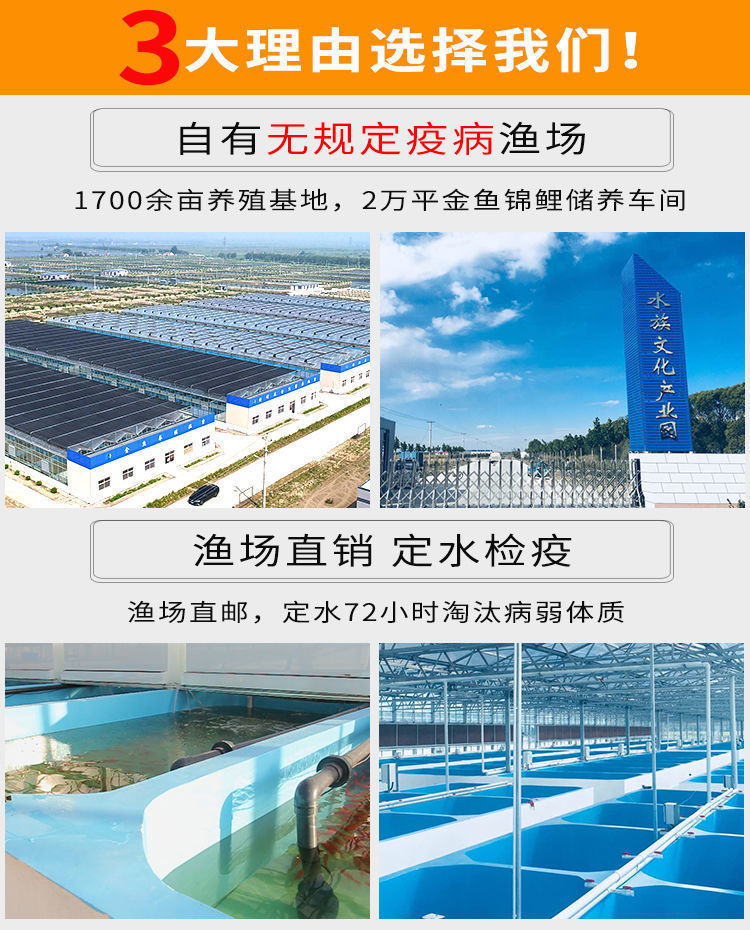 b882d466-c1be-4ac4-9005-ad5928237ade.jpe