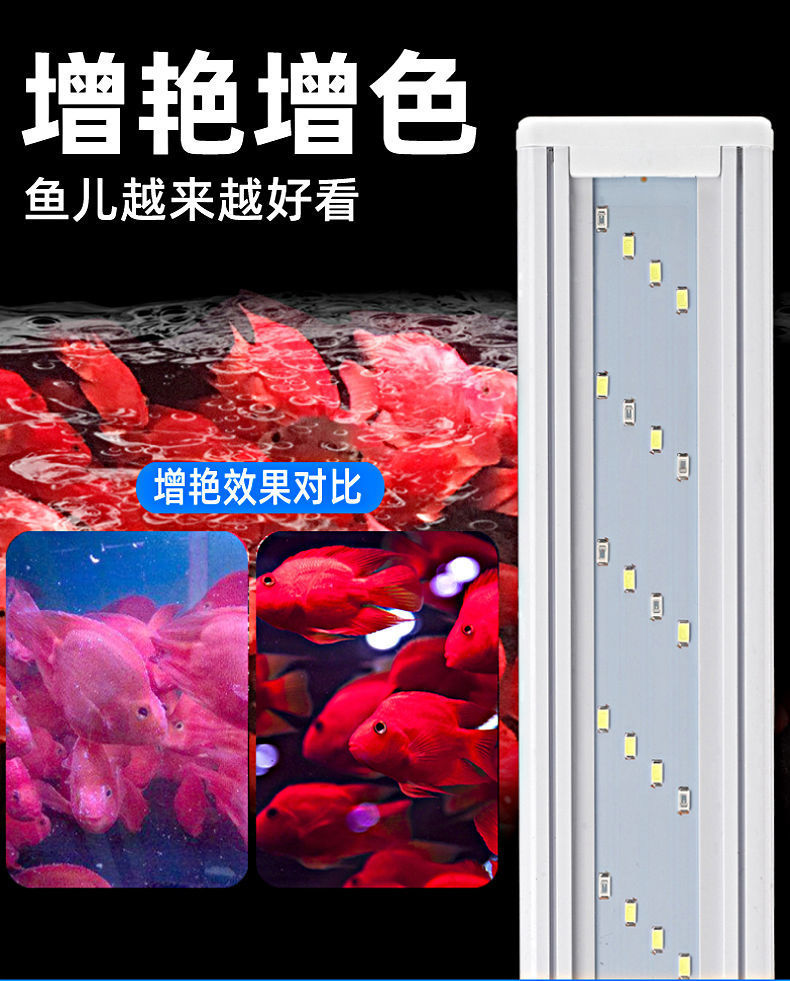 9149e381-67e1-4b21-8dd3-e14db32ccf18.jpe