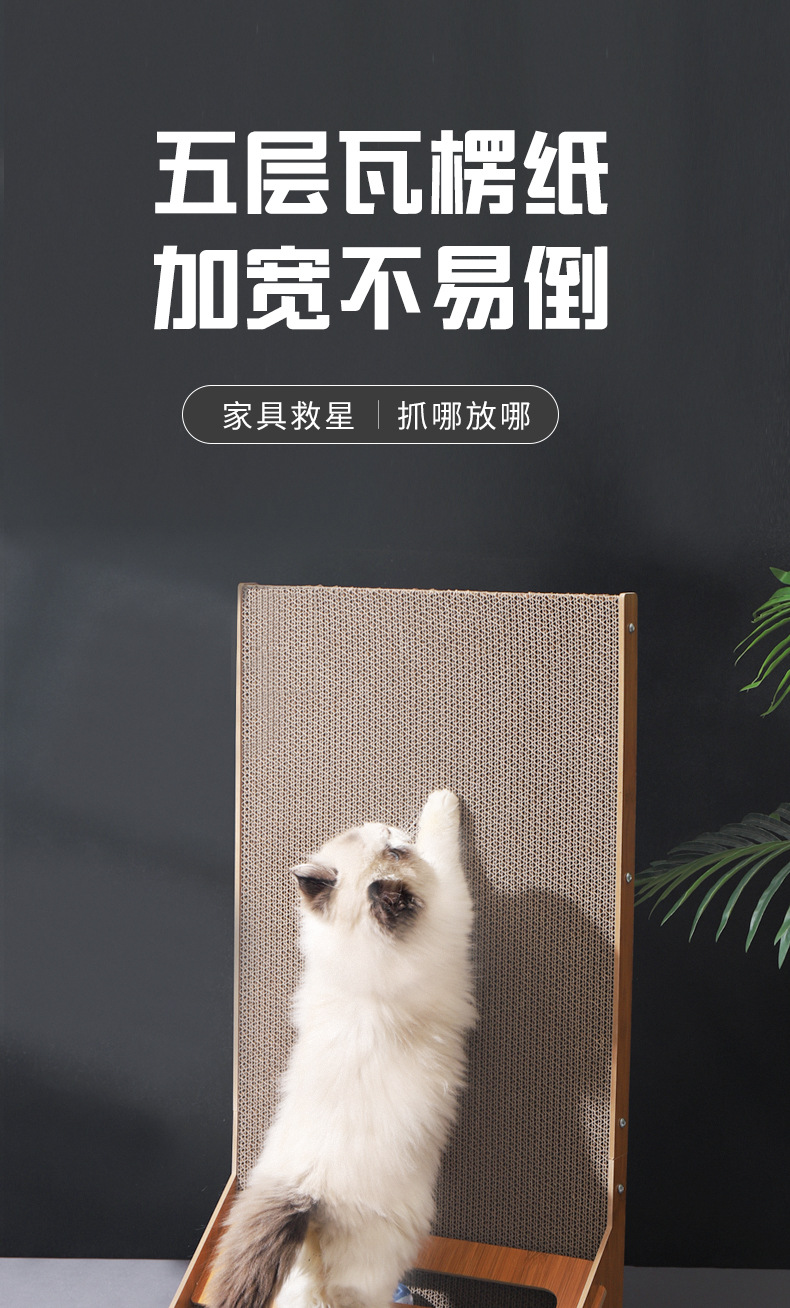 详情_01.jpg