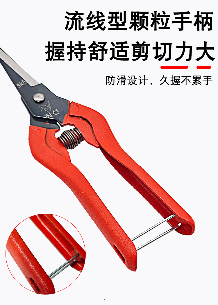 详情2.jpg