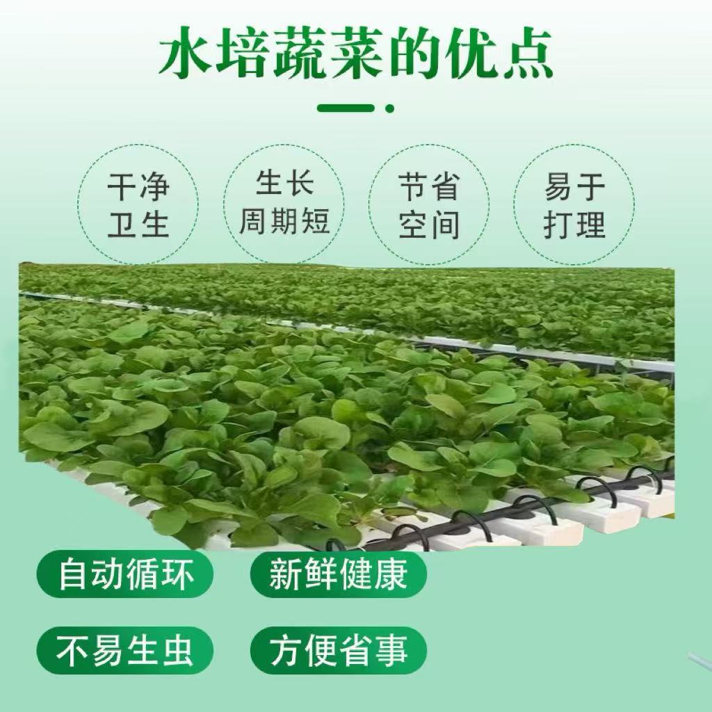 微信图片_20250623145322