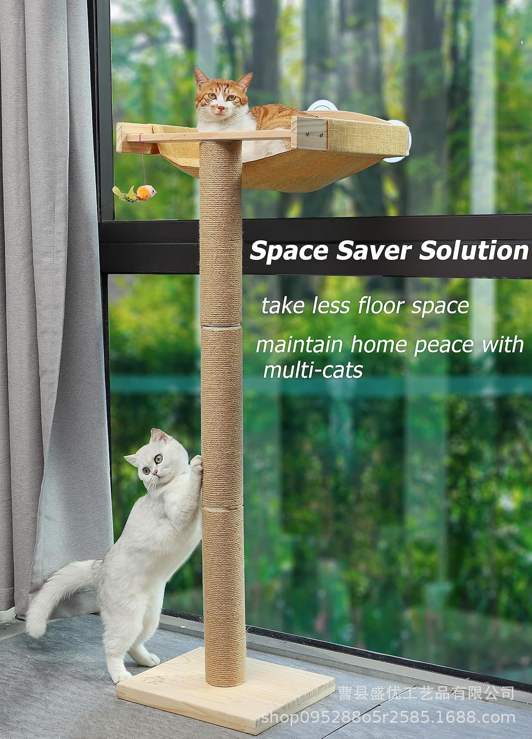 91DVRvigcFL._AC_SL1500_