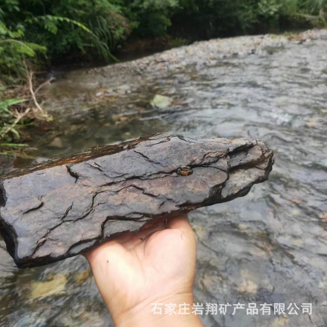 182eba225cb096359c04c20791e9f6