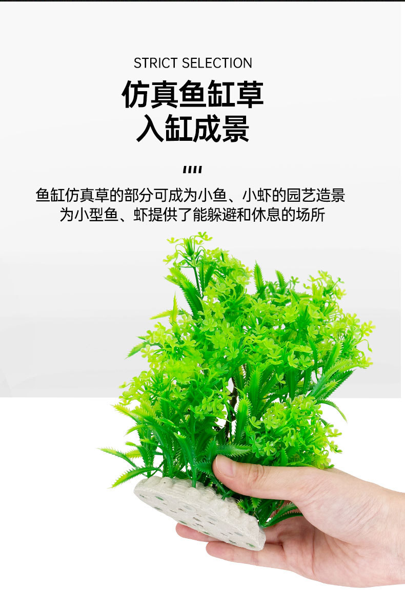 草详情_05.jpg