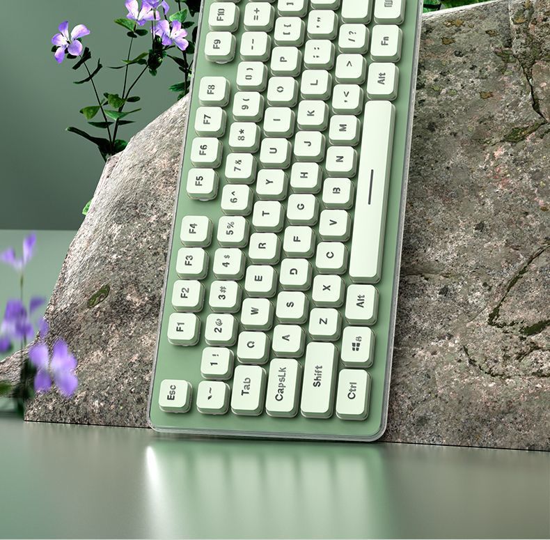 d5240fad-8abc-4181-8fcd-8758e6a9c995.jpe