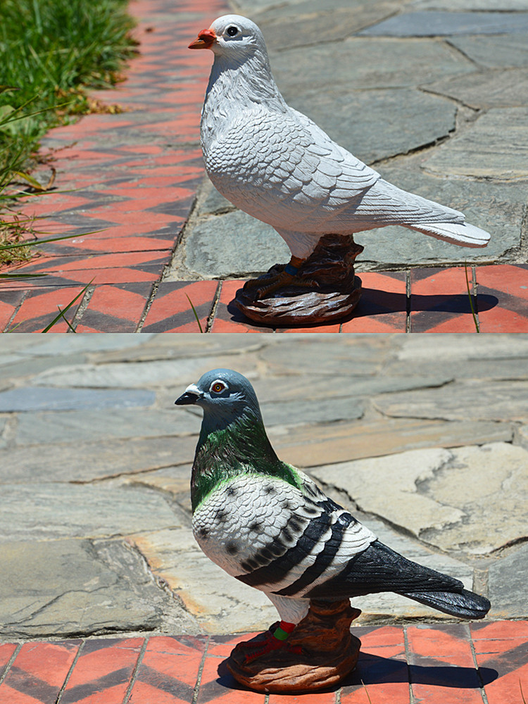 DSC_0021_副本.jpg
