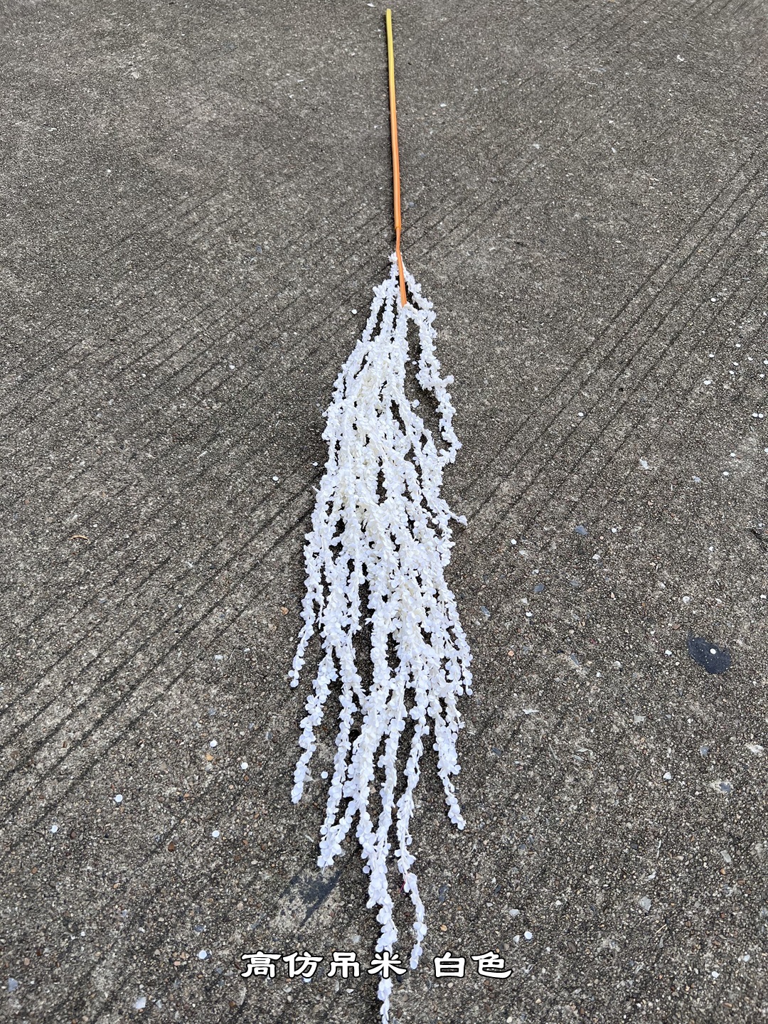 微信图片_20231030195623