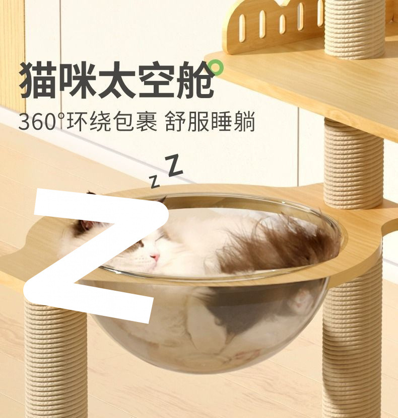 9d900a86-77e8-4493-bb89-1287f5488260.jpe