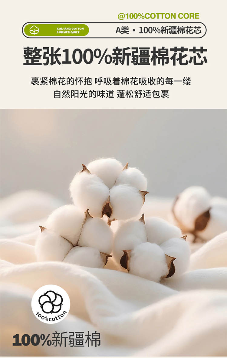 100新疆棉花夏被750_10