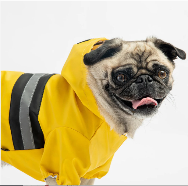 微信图片_20241005224454