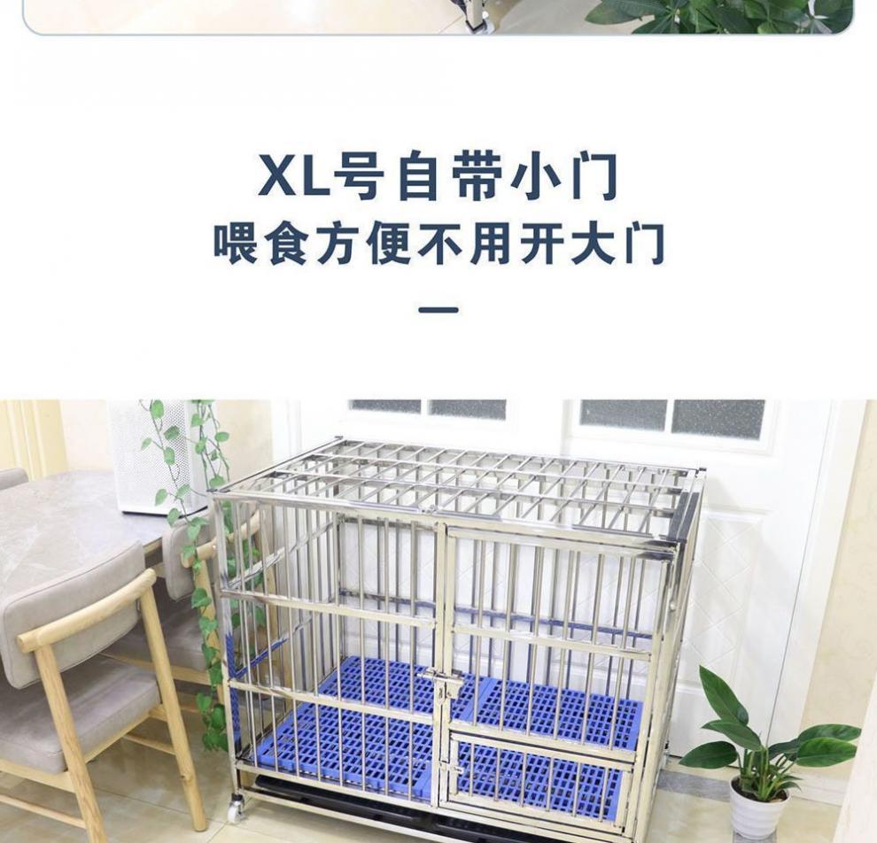 56dd0968-4997-49b2-8c8c-88a8ba693977.jpe