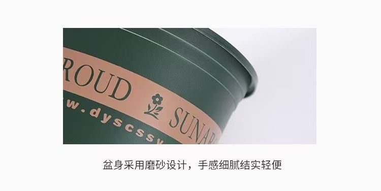 4cc7b9a4-4169-44a8-83d8-9277a03f1c90.jpe