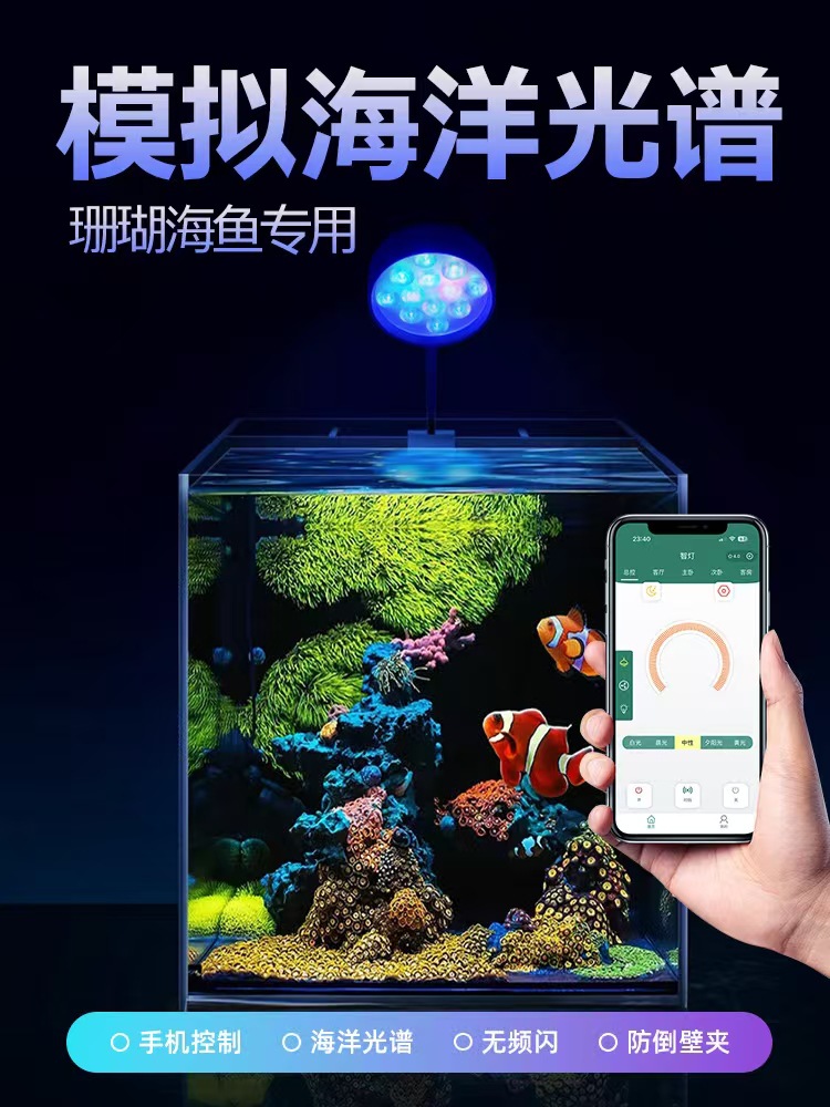 微信图片_20241121220935