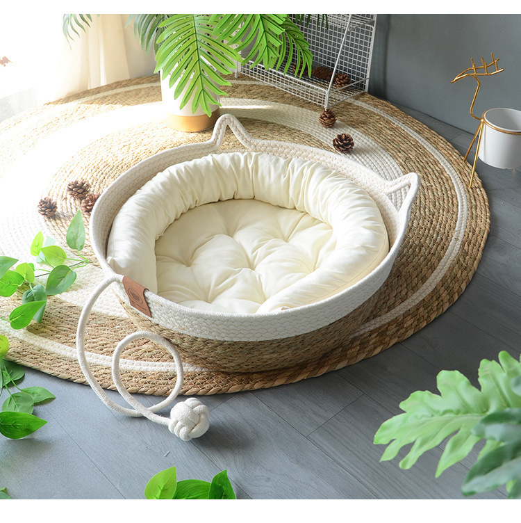 85bc700f-3161-416c-b1f0-6c84b72da3f7.jpe