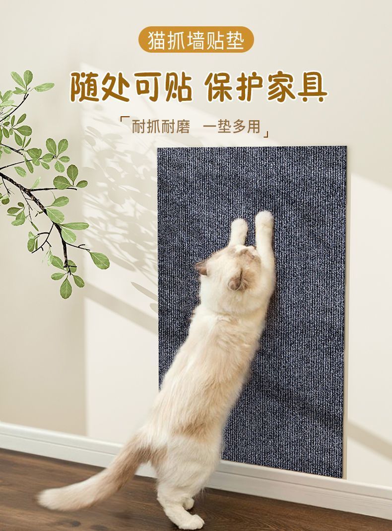 de969f6d-8af8-4795-95e4-85aebf327ef0.jpe