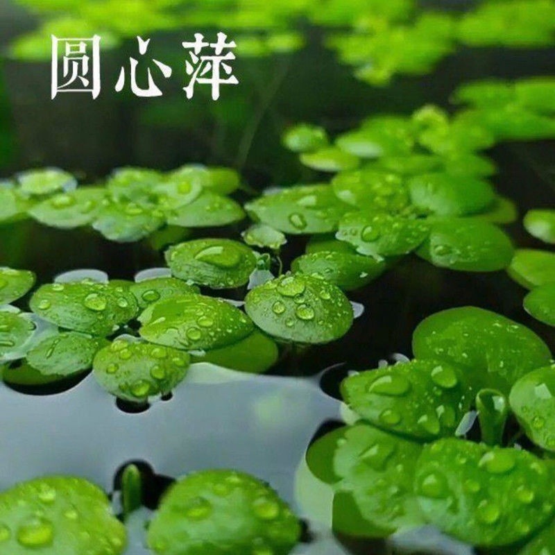 fbc1809b-7219-4e76-b2c7-3517d3679396.jpe