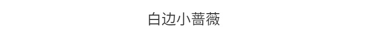 c26d809f-9a95-43f4-9cf9-6b4257743fe2.png