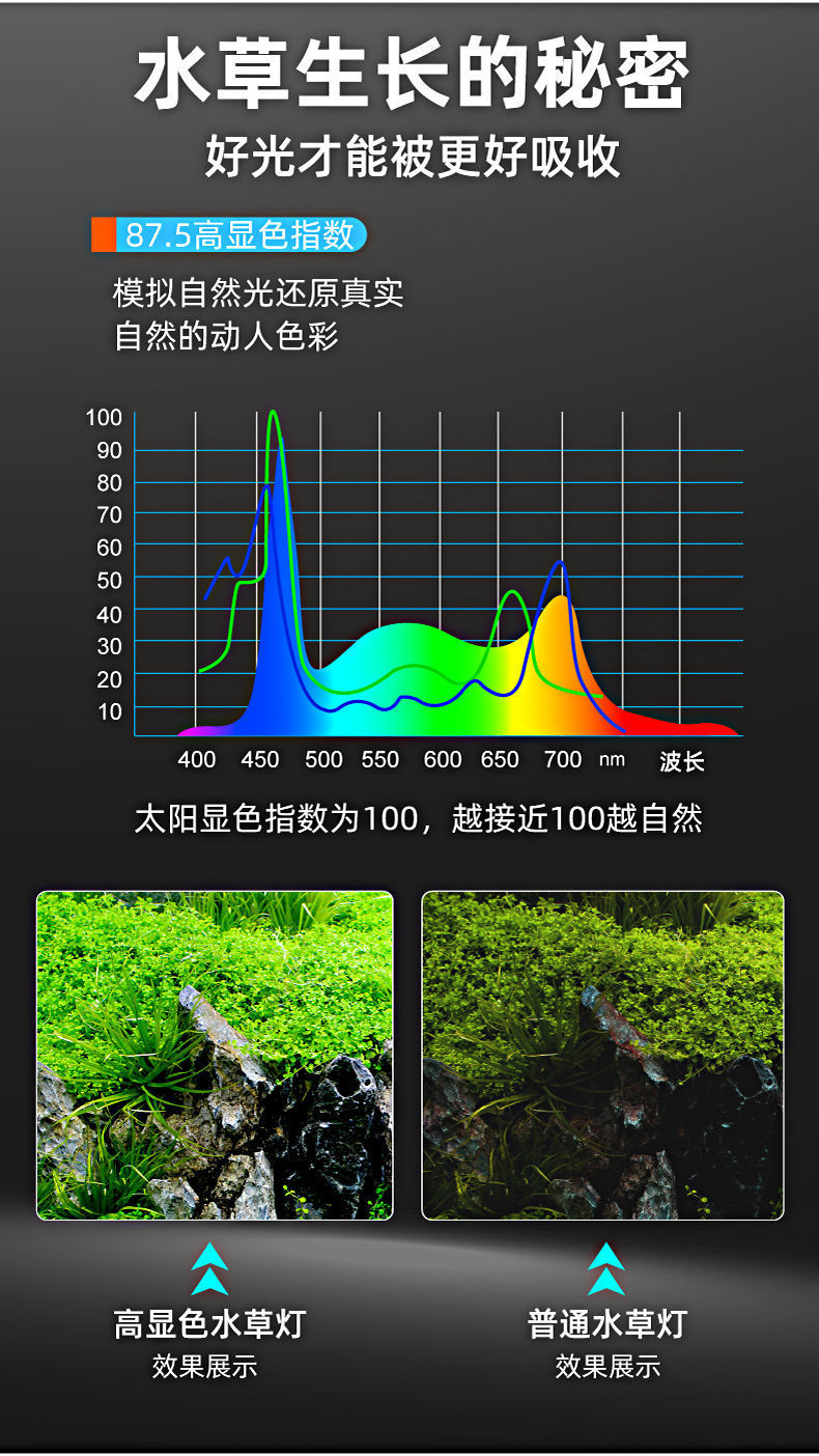 a6c616e9-8e52-4bcb-9fe5-efa3148739bc.jpe