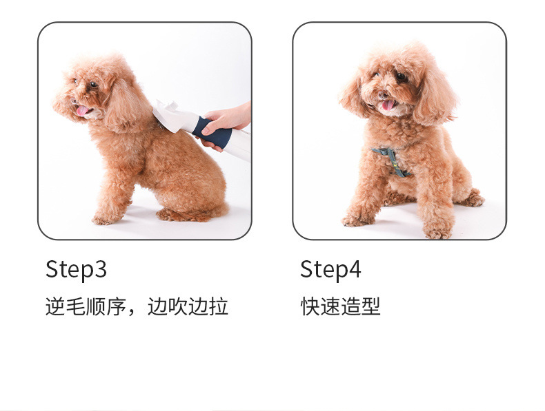 21c81a39-a05c-481d-91a9-58683301d42a.jpe