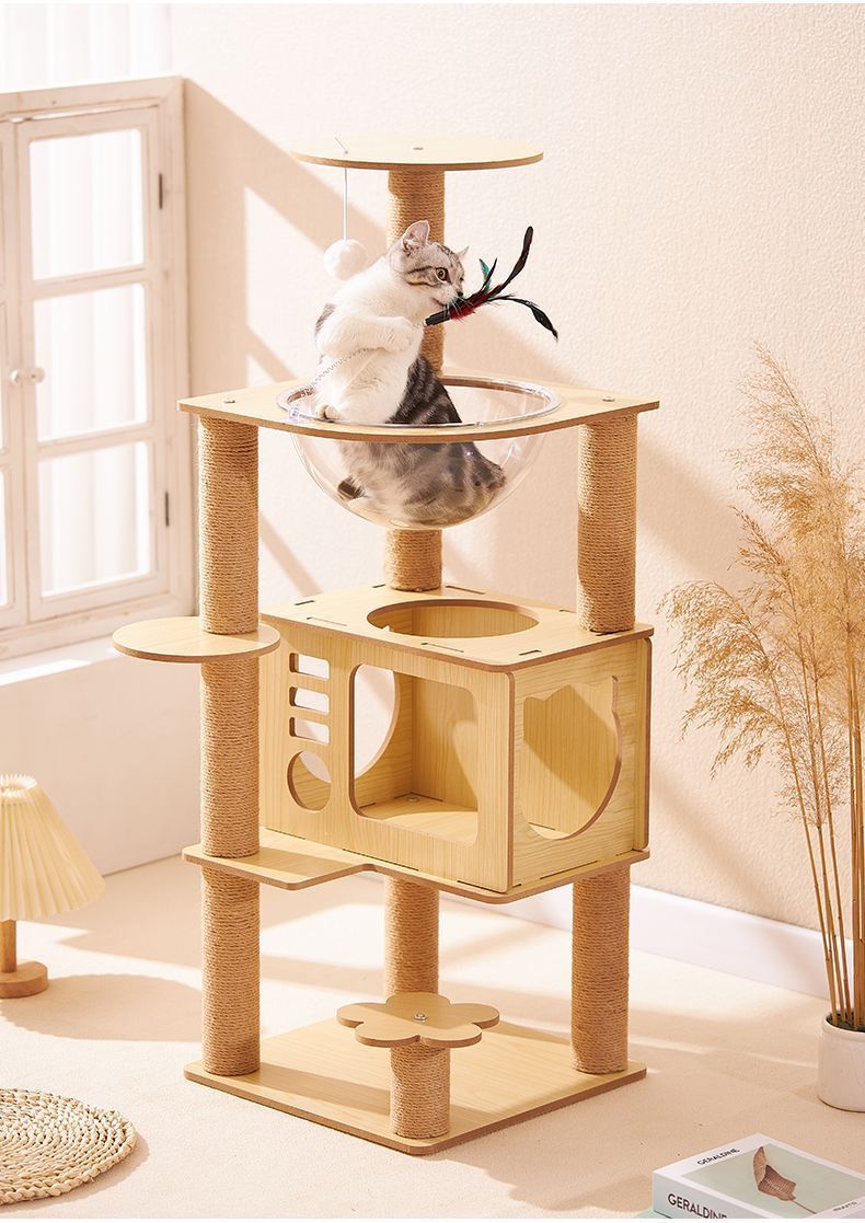 6b83f614-4a48-421a-8320-d29a9ae7ceaf.jpe