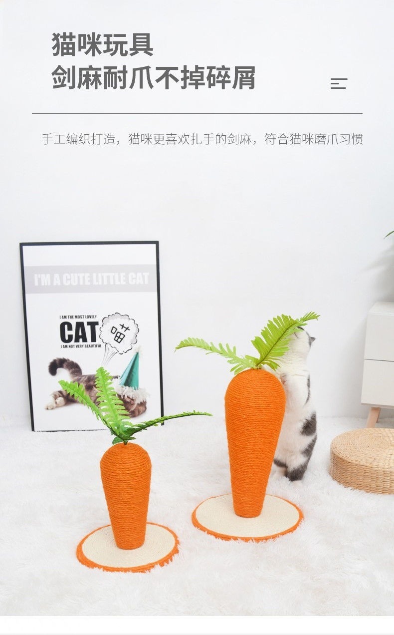 6d013e8c-fc78-4758-aa75-fb99983c0b8a.jpe