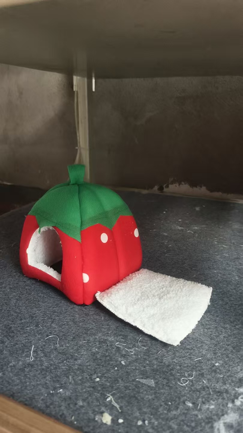 微信图片_20251115122236_445_159