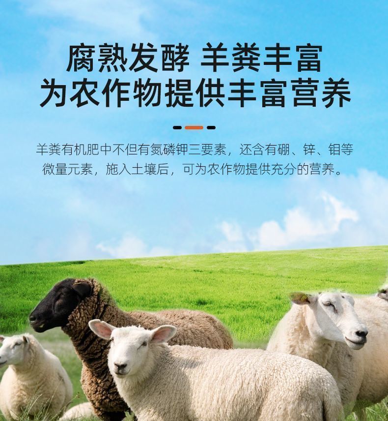 9ebb4752-e58b-4cf6-b6bd-04a4a66030a0.jpe