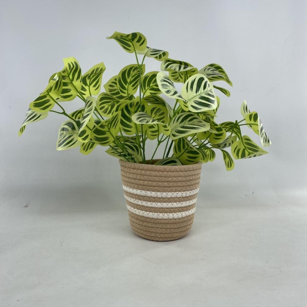 9c52b5b8-12c3-46a2-bc37-76c7133d9e08.jpe