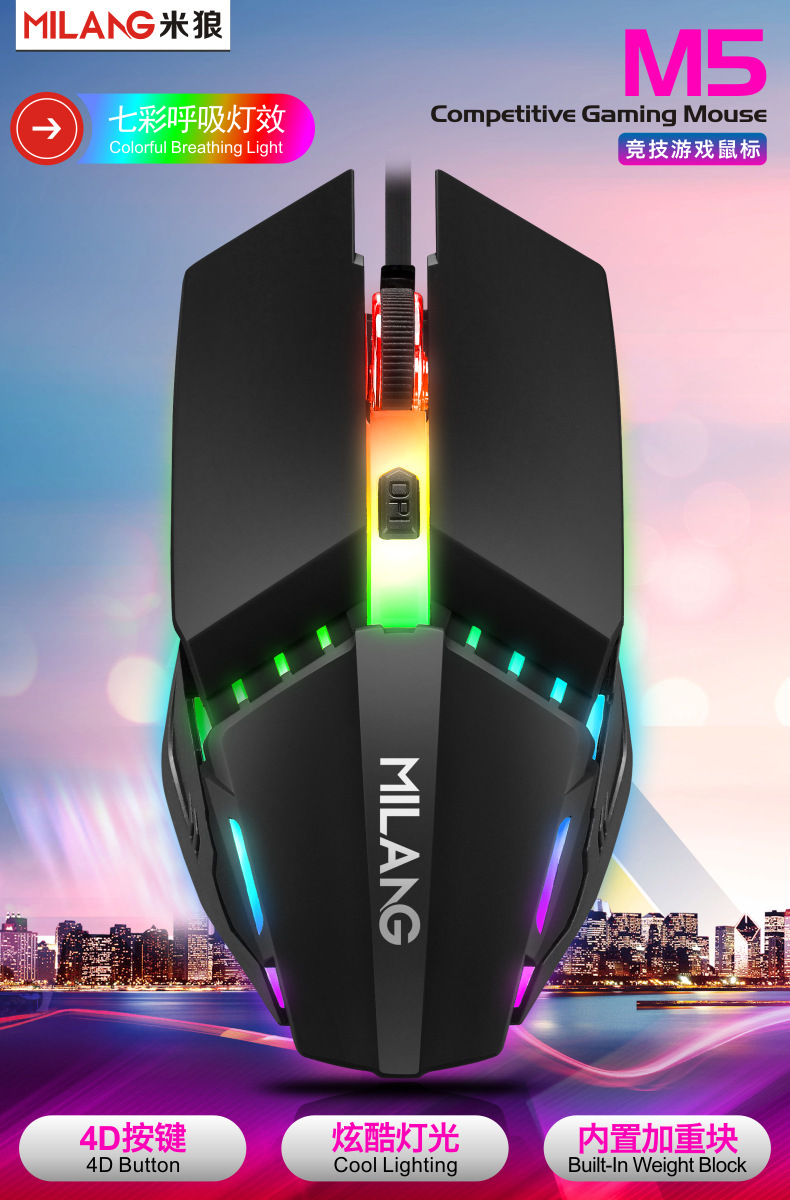 M5分图1