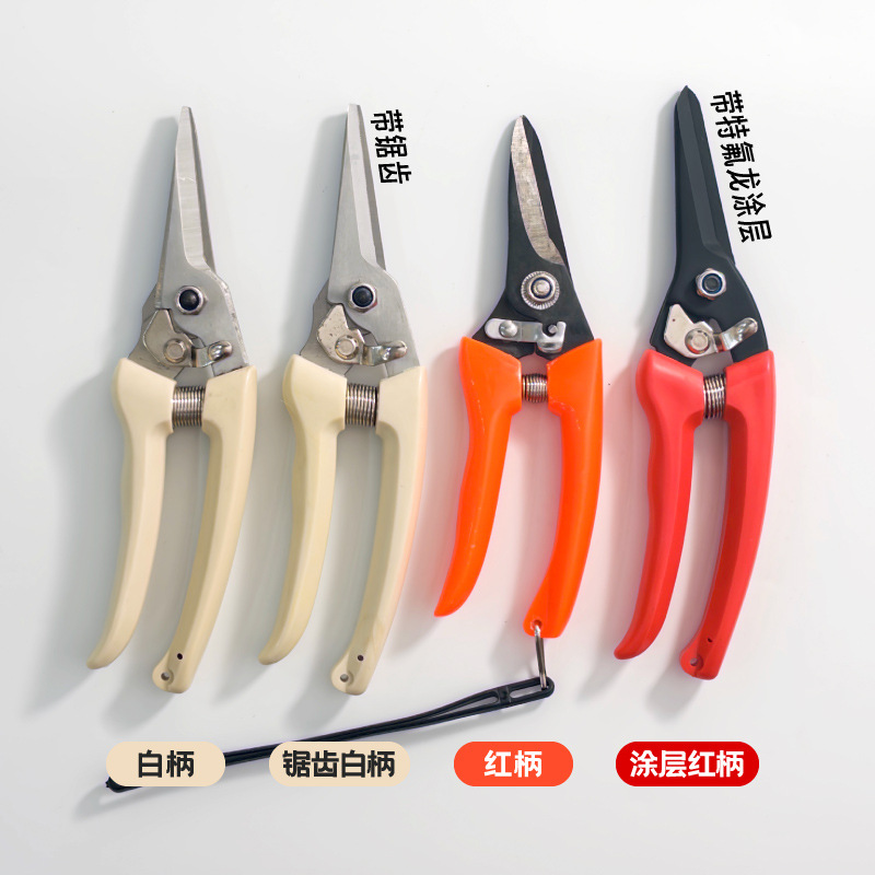 新羊用修蹄剪详情_O.jpg