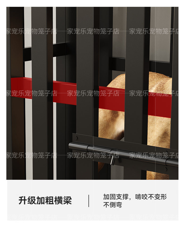 7e868af5-eb84-4c4b-95d8-d591f2de3cc4.jpe