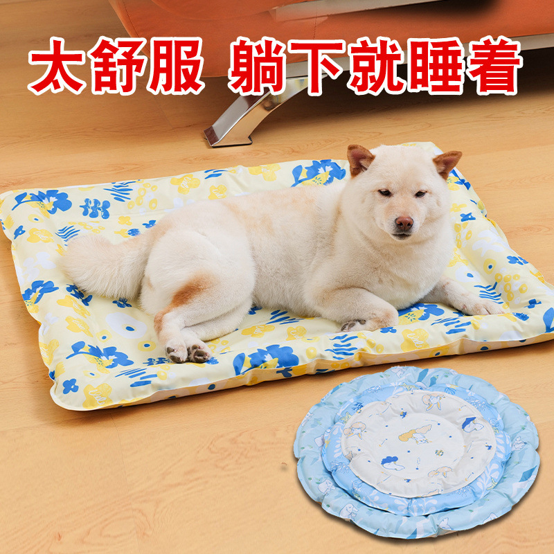 89f1739e-6e0d-4e5c-8d7d-019907d3ed1c.jpe