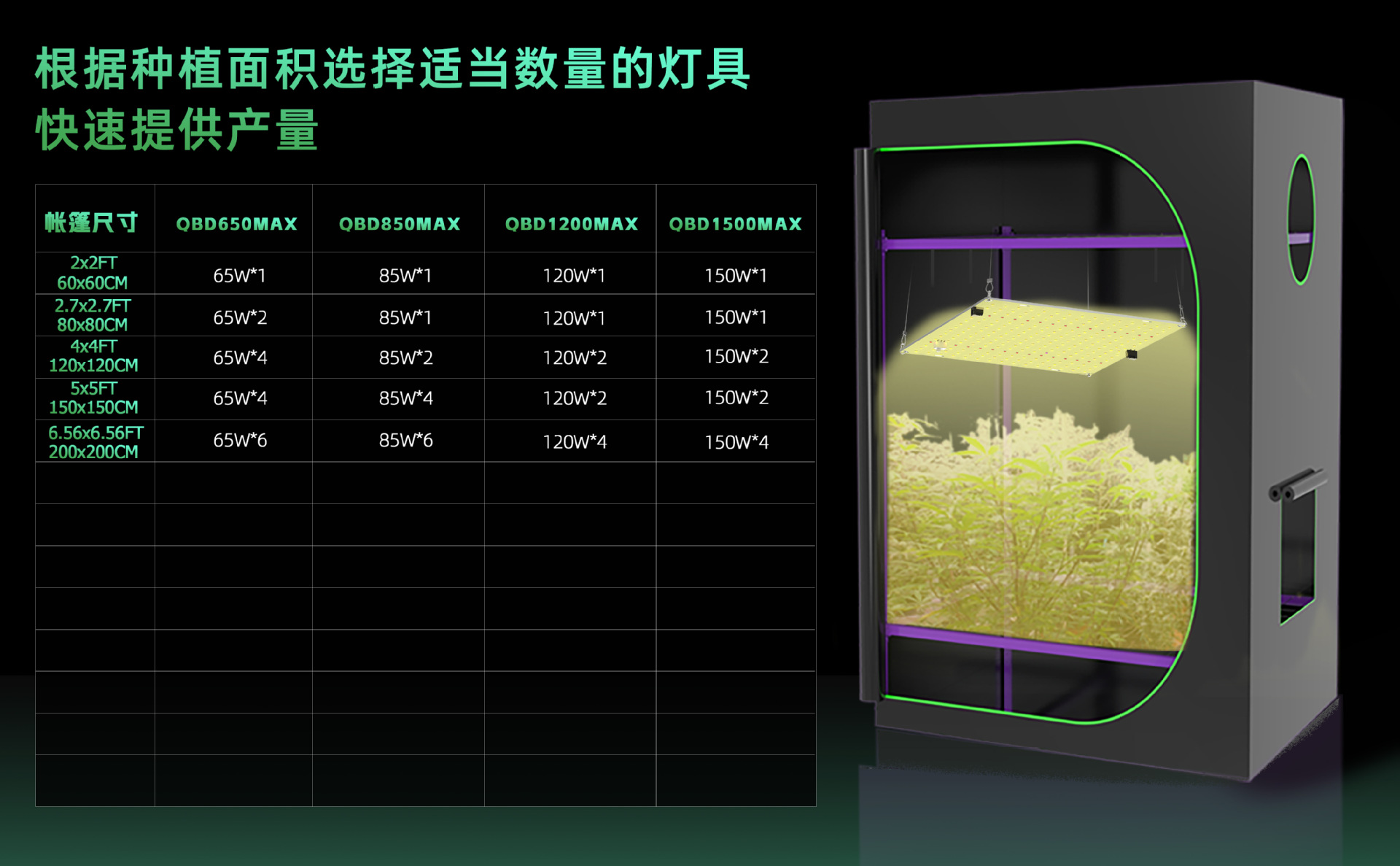 详情7