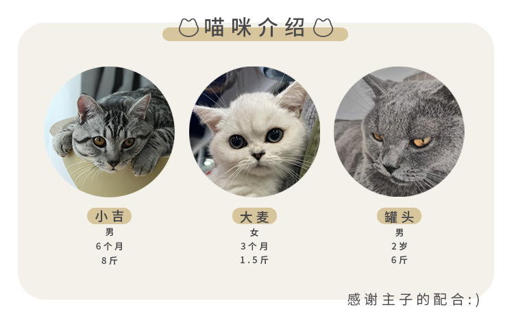 8.模特信息 拷贝.jpg