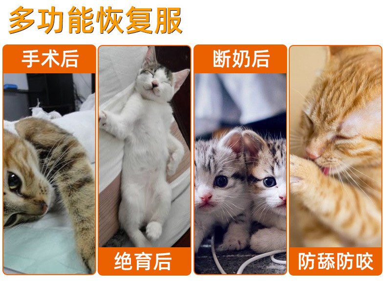 PC60027手术恢复猫服_06.jpg