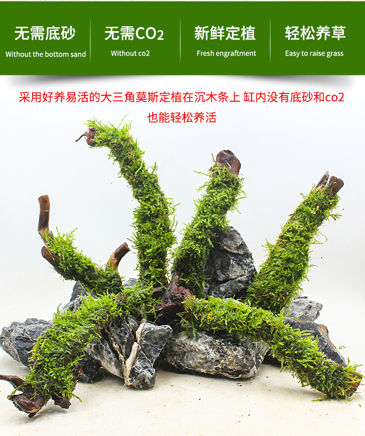 莫斯沉木条详情页 (2).jpg