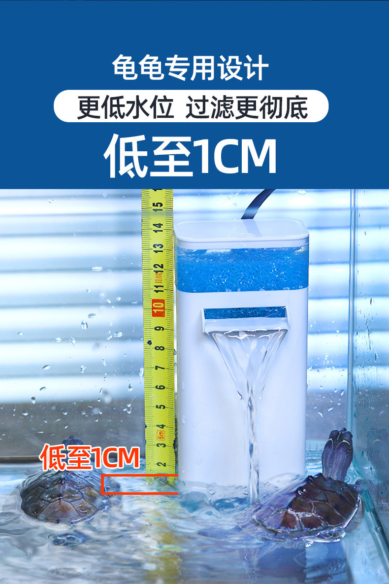 955d7647-d58a-4f5c-8a9f-8258dc9193c7.jpe