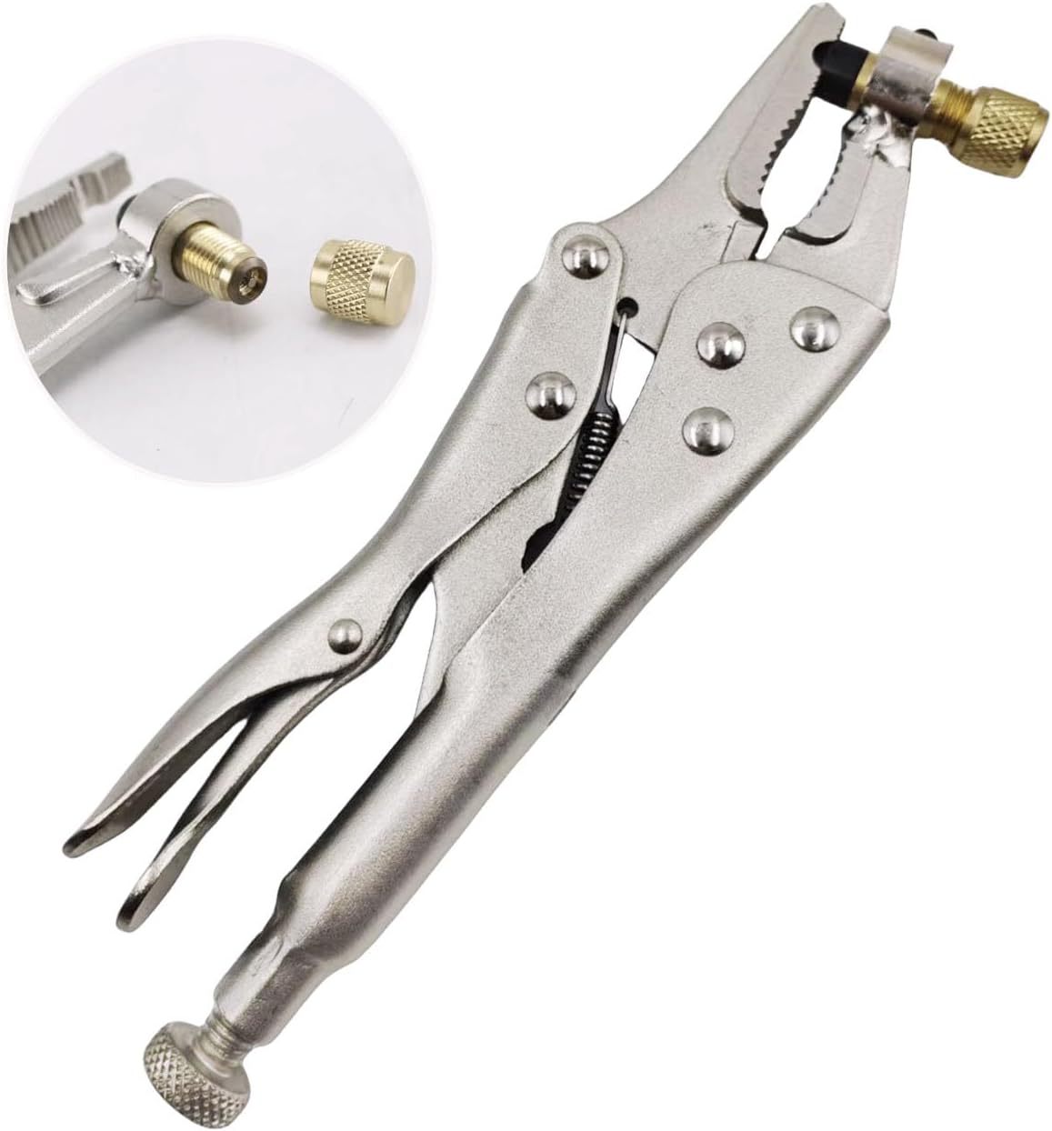 61+G7W8-9uL._AC_SL1337_