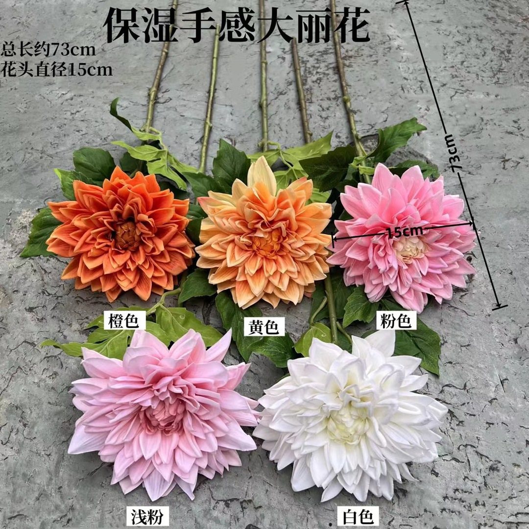 微信图片_20240825170743